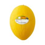 EPSION Plaster Printer